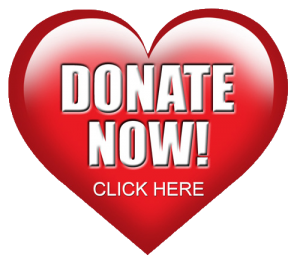 Donate Now - Saving a Heart on Valentine's Day