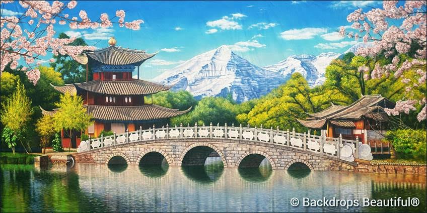 Asian Landscape 3 Backdrop