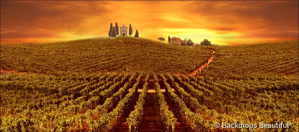 Tuscany 3 backdrop - Wine Not