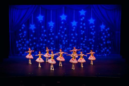 Drapes Purple Stars Backdrop