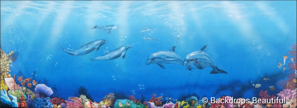 November Backdrops - Coral Reef 9 Dolphins