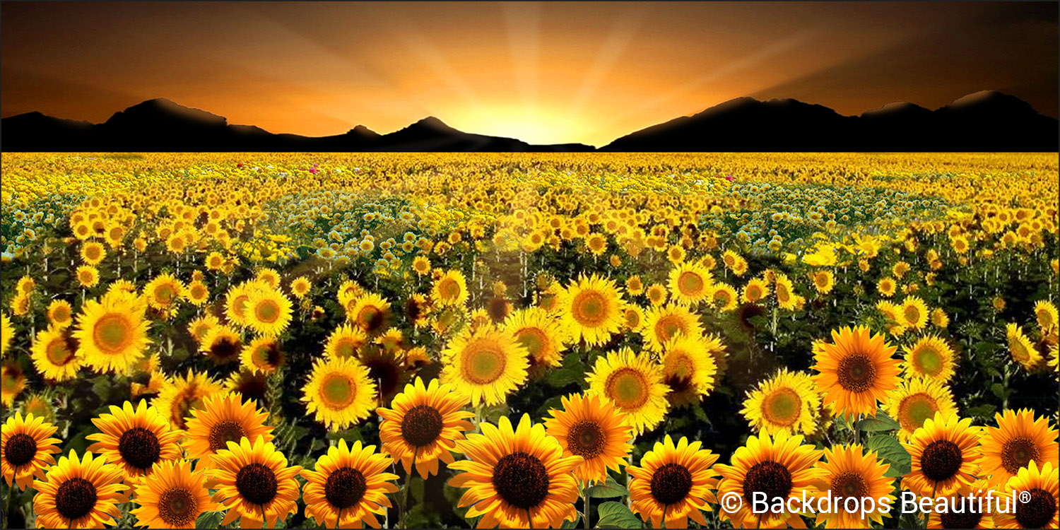 Summer Designs - Flower Fields 2