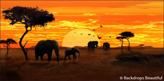 Backdrops: African Elephant Sunset 1