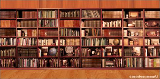 Backdrops: Bookshelves 2