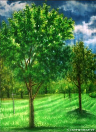 Backdrops: Tree Leg 16B