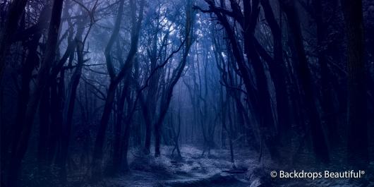 Backdrops: Dark Forest  9B Twilight Digital