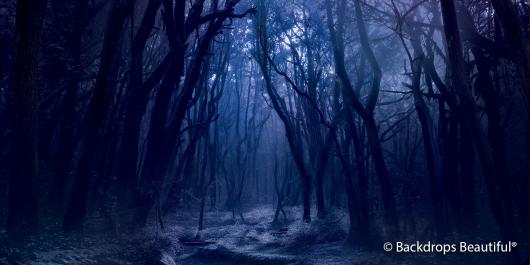 Backdrops: Dark Forest  7 Twilight Digital