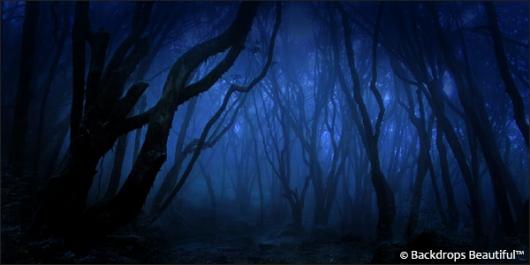 Backdrops: Dark Forest  6B Twilight