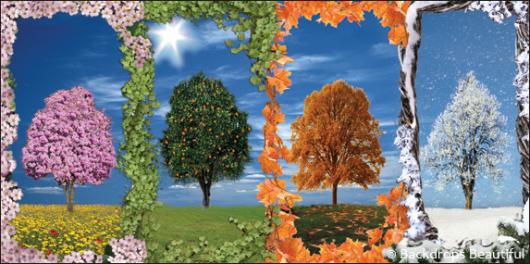 Backdrops: Trees Seasons Panel 3