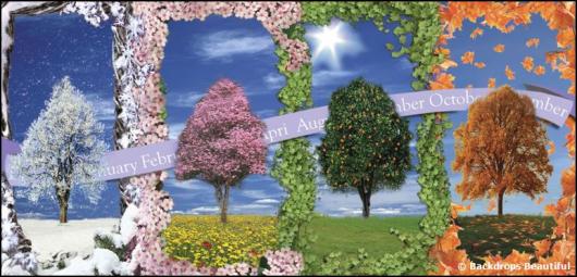 Backdrops: Trees Seasons Calendar 2