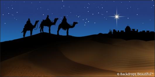 Backdrops: Nativity Scene 2B