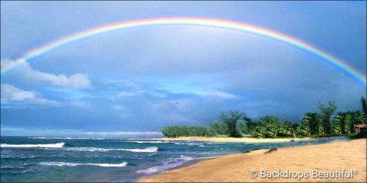 Backdrops: Tropical Beach 16 Rainbow