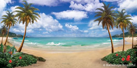 Backdrops: Tropical Beach 12A