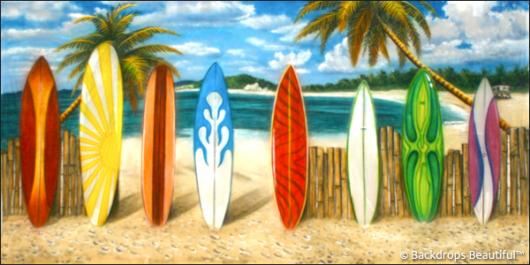 Backdrops: Beach Boards 2B