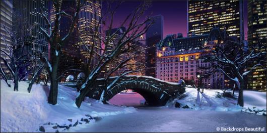 Backdrops: Central Park 2A Winter