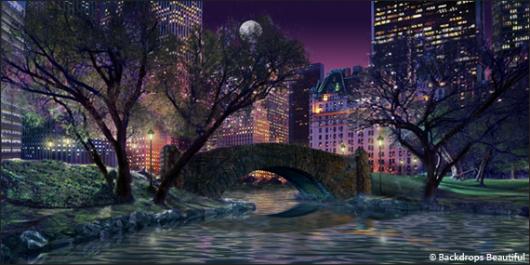 Backdrops: Central Park 4 Night