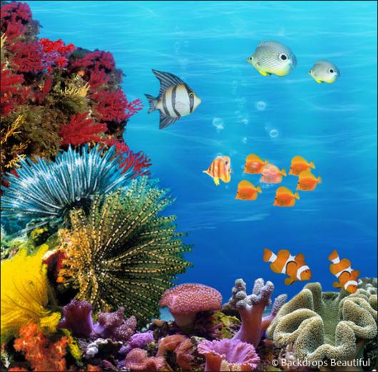 Backdrops: Coral Reef A
