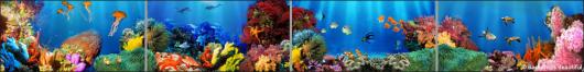Backdrops: Coral Reef  4 Panel