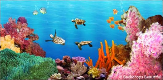 Backdrops: Coral Reef  7