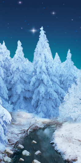 Backdrops: Winter Trees 13 Digital (Alt View)