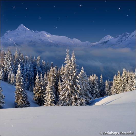 Backdrops: Winter Wonderland 6C (Vinyl)
