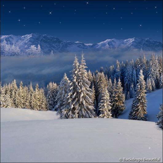Backdrops: Winter Wonderland 6D (Vinyl)