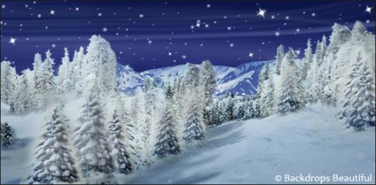 Backdrops: Winter Wonderland 3D