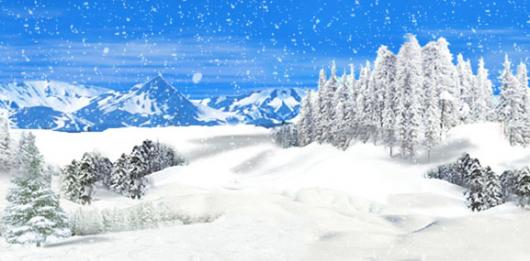 Backdrops: Winter Wonderland 4C