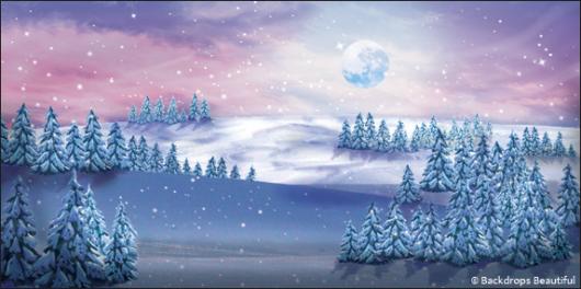 Backdrops: Winter Trees  4B Moon