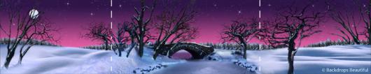 Backdrops: Winter Twilight 1 Panel