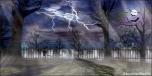 BackDrops: Graveyard