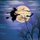 BackDrops: Wicked Moon 1