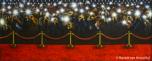 Backdrops: Paparazzi Celebrity 8B
