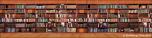 Backdrops: Bookshelves 4