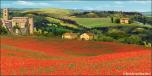 Backdrops: Tuscany 1A