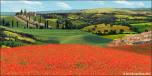 Backdrops: Tuscany 1B