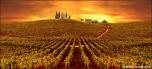 Backdrops: Tuscany 3