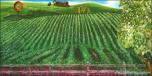 Backdrops: Tuscany 7b