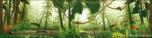 Backdrops: Forest 2B Lizards