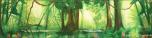 Backdrops: Forest 2C Lake