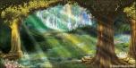 Backdrops: Mystic Forest 4