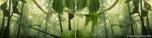 Backdrops: Forest Panel 2