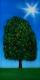 BackDrops: Tree Summer