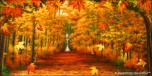 BackDrops: Woodlands 1 Path
