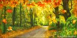 BackDrops: Woodlands 7 Road