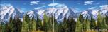BackDrops: Aspen Mountains 3 Panel