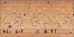 BackDrops: Jerusalem Wall 1