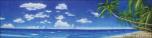 BackDrops: Tropical Beach  1