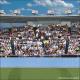Backdrops: Spectator 4