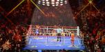 Backdrops: Boxing 1